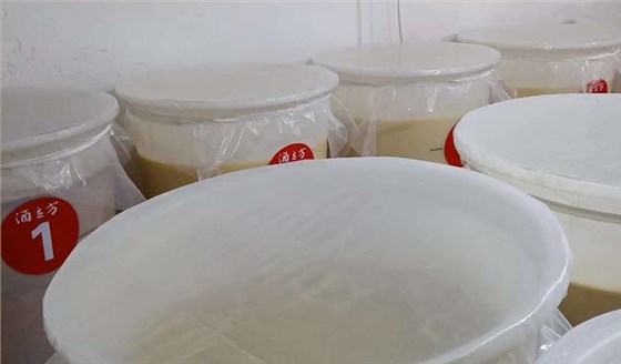 酿酒发酵桶用塑料桶可以吗？发酵酒桶能用塑料桶吗？