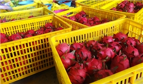 塑料筐尺寸型号