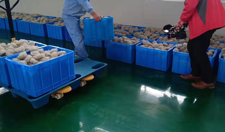 2025年塑料包装选购指南：从托盘到周转箱的避坑攻略